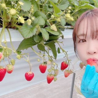 諏訪彩花