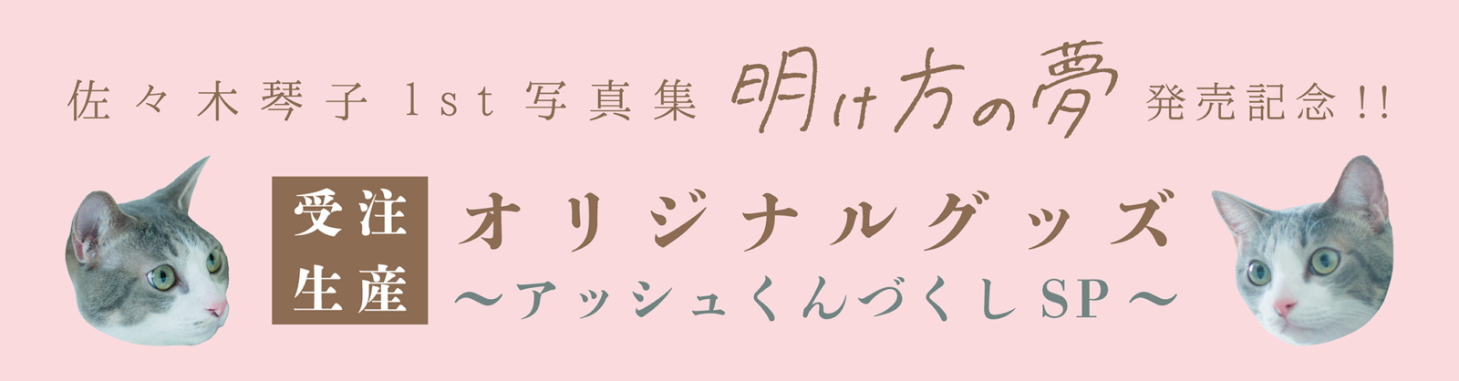 佐々木琴子