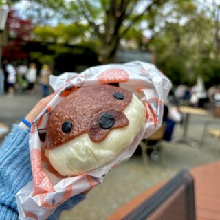 春花らん