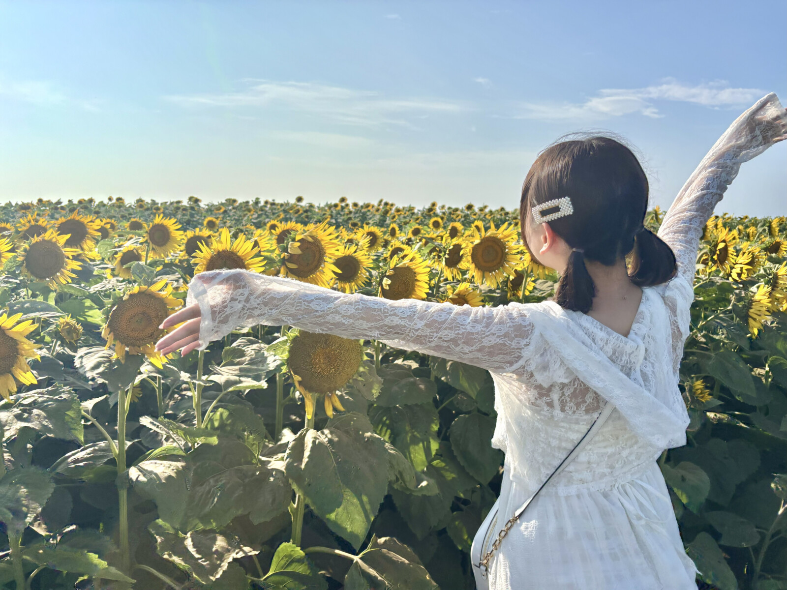 春花らん