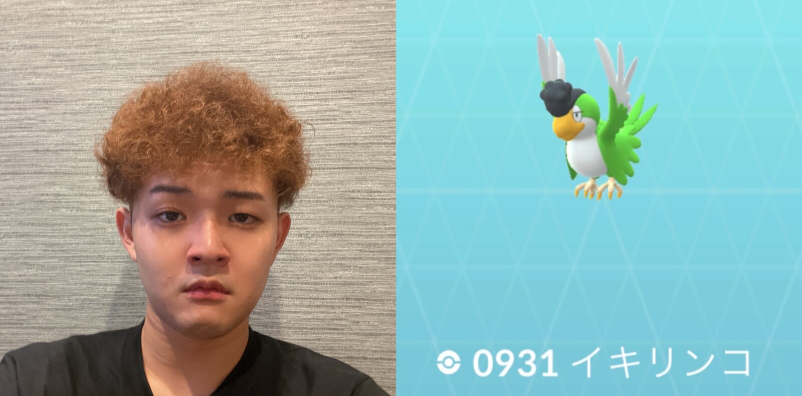 井藤智哉