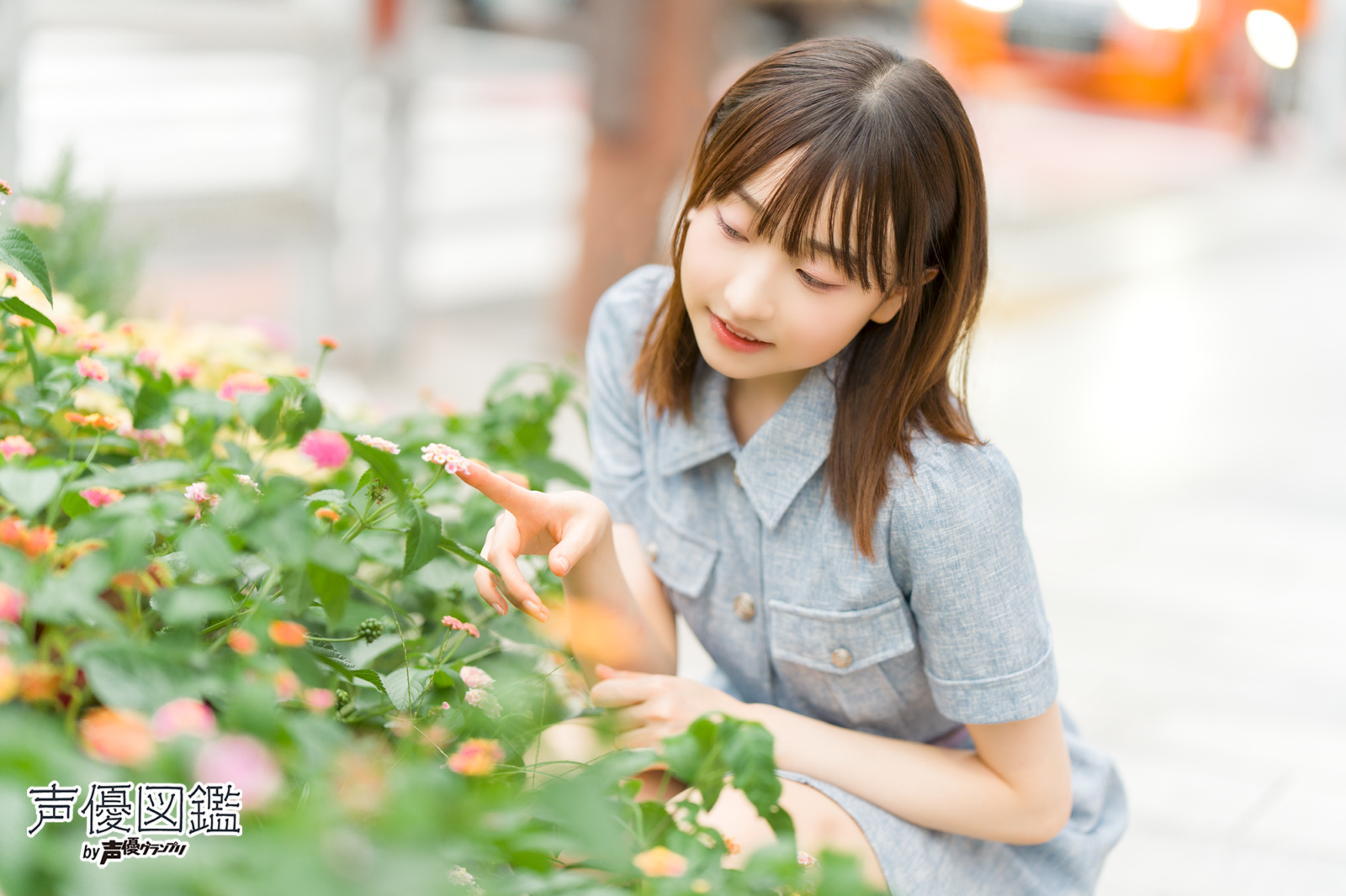 声優図鑑_涼ノ瀬葵音