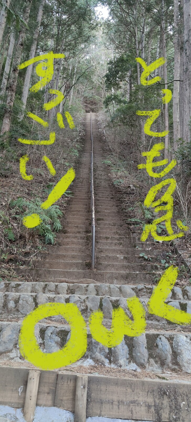 榊原優希コラム